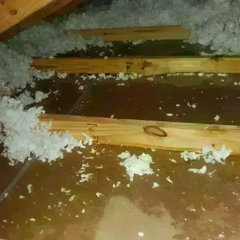 Attic Water Damage in Kennedy, CA