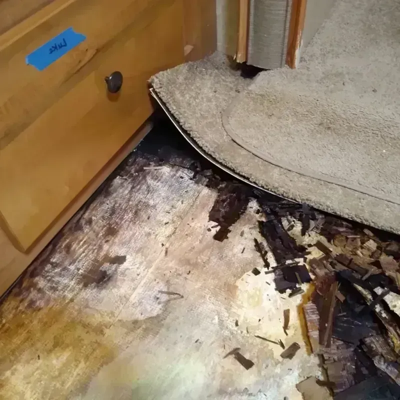 Wood Floor Water Damage in Kennedy, CA